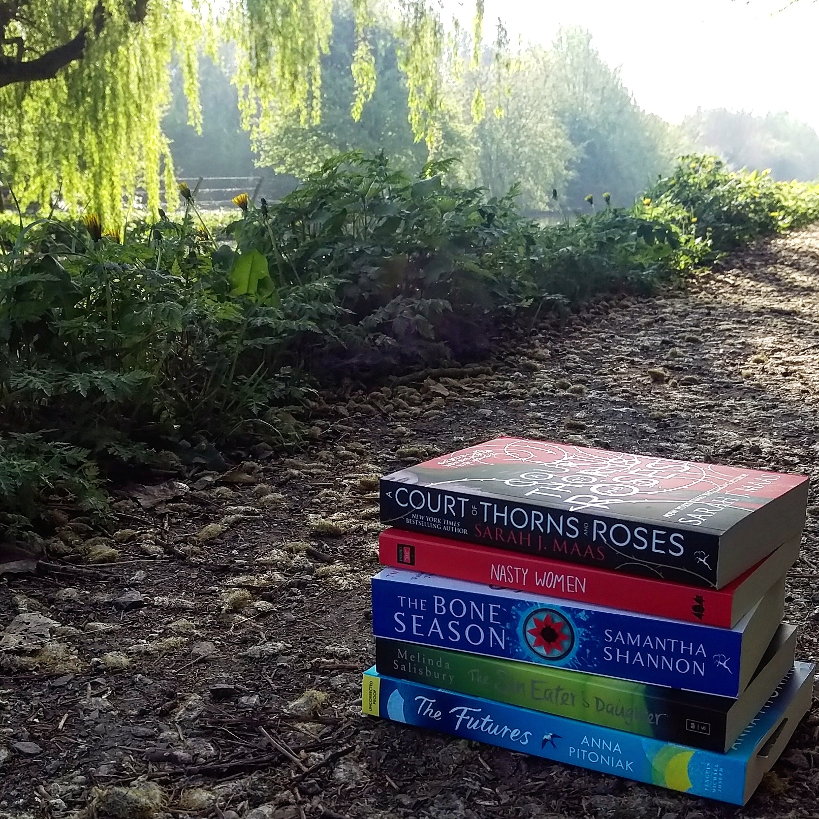 IMG_20170413_102110_613