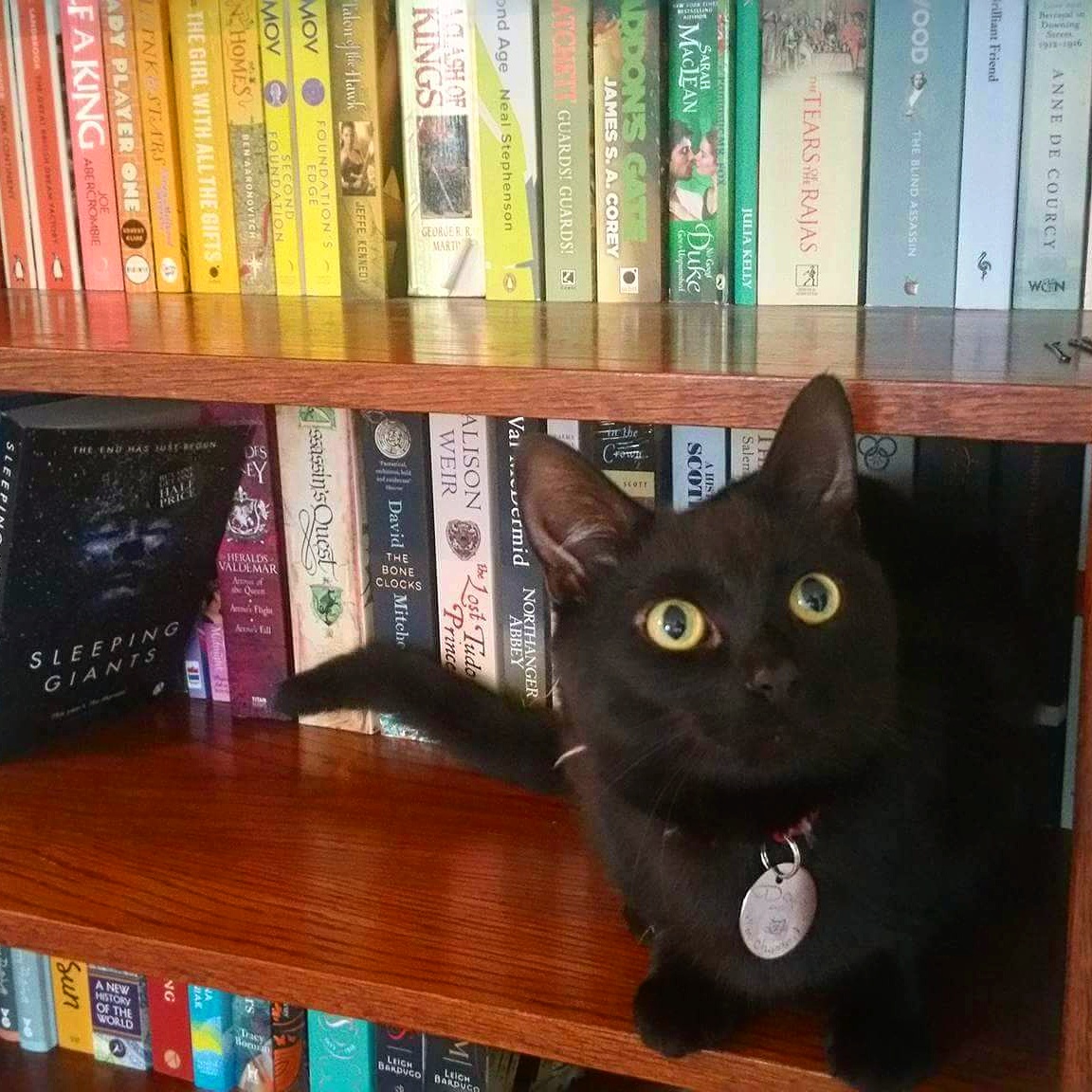 IMG_20170422_091419_779