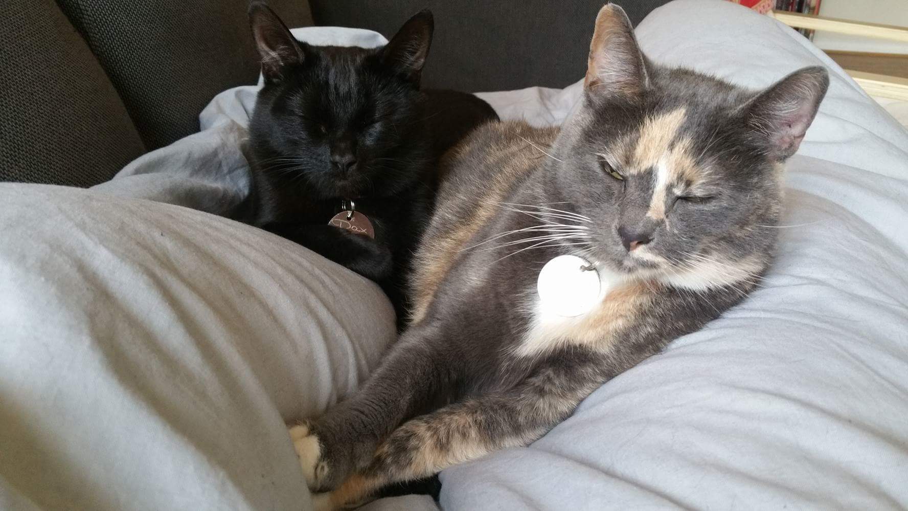 received_10155012627865926