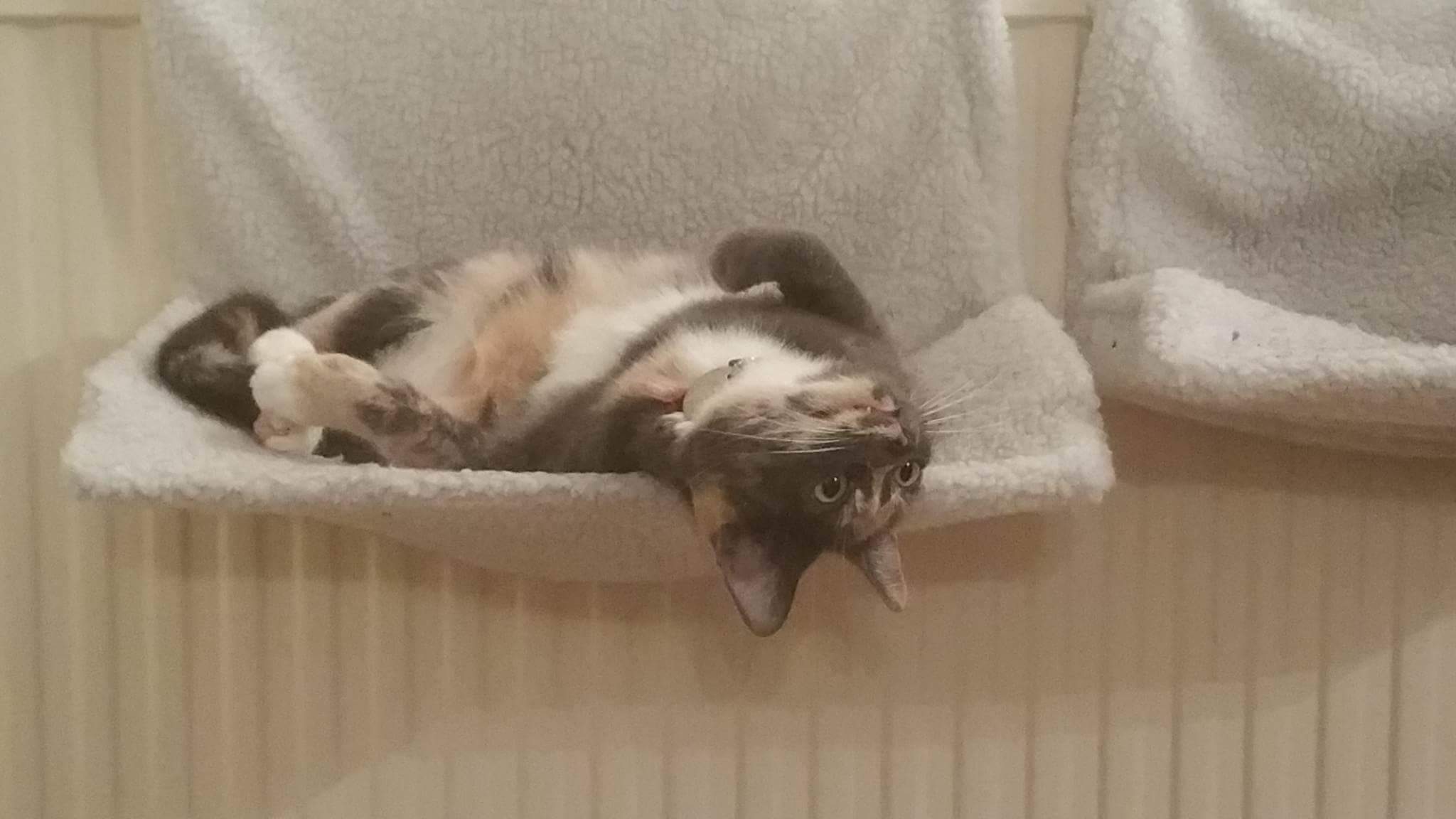 received_10155071322425926