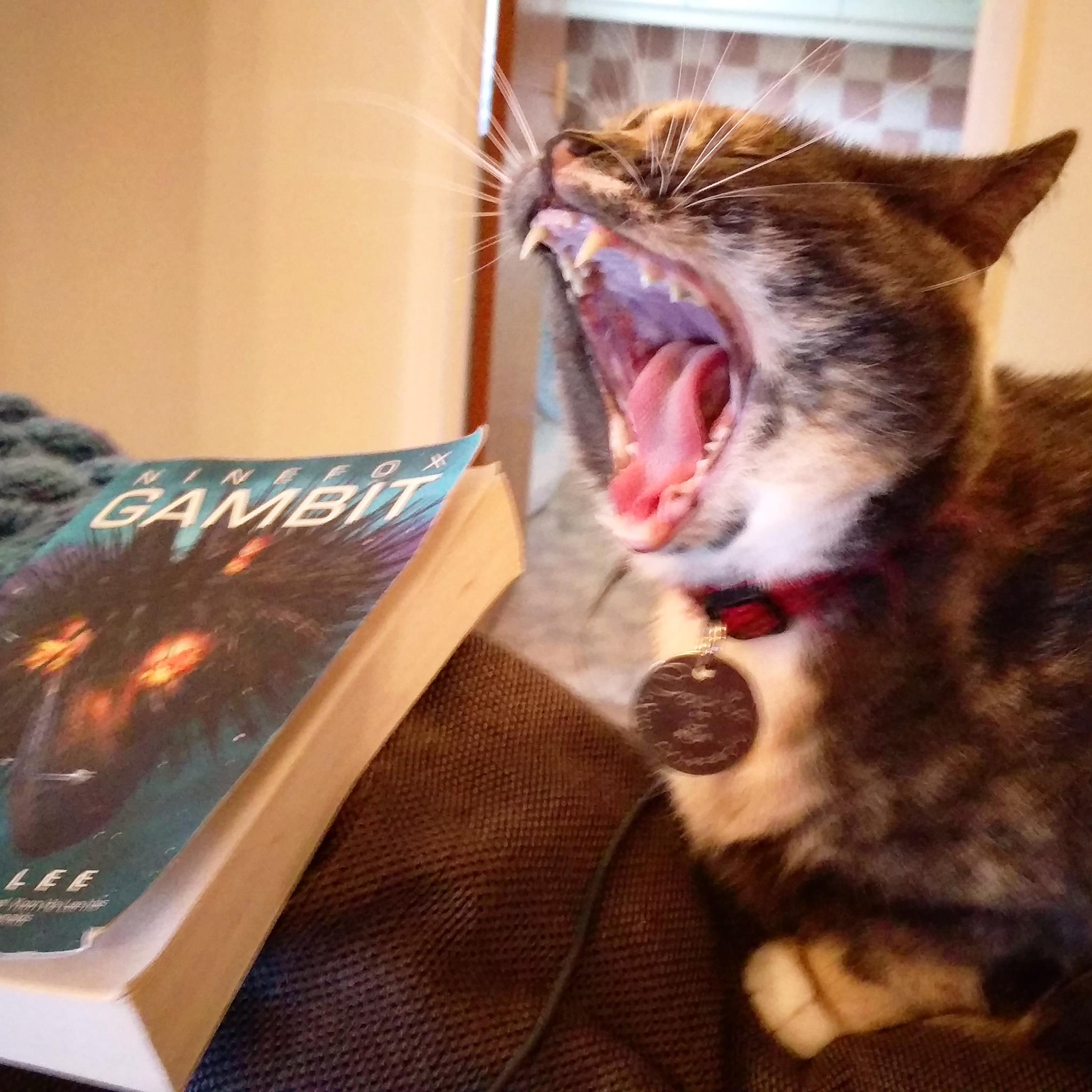 18926593_10102446987803810_1581355086_o