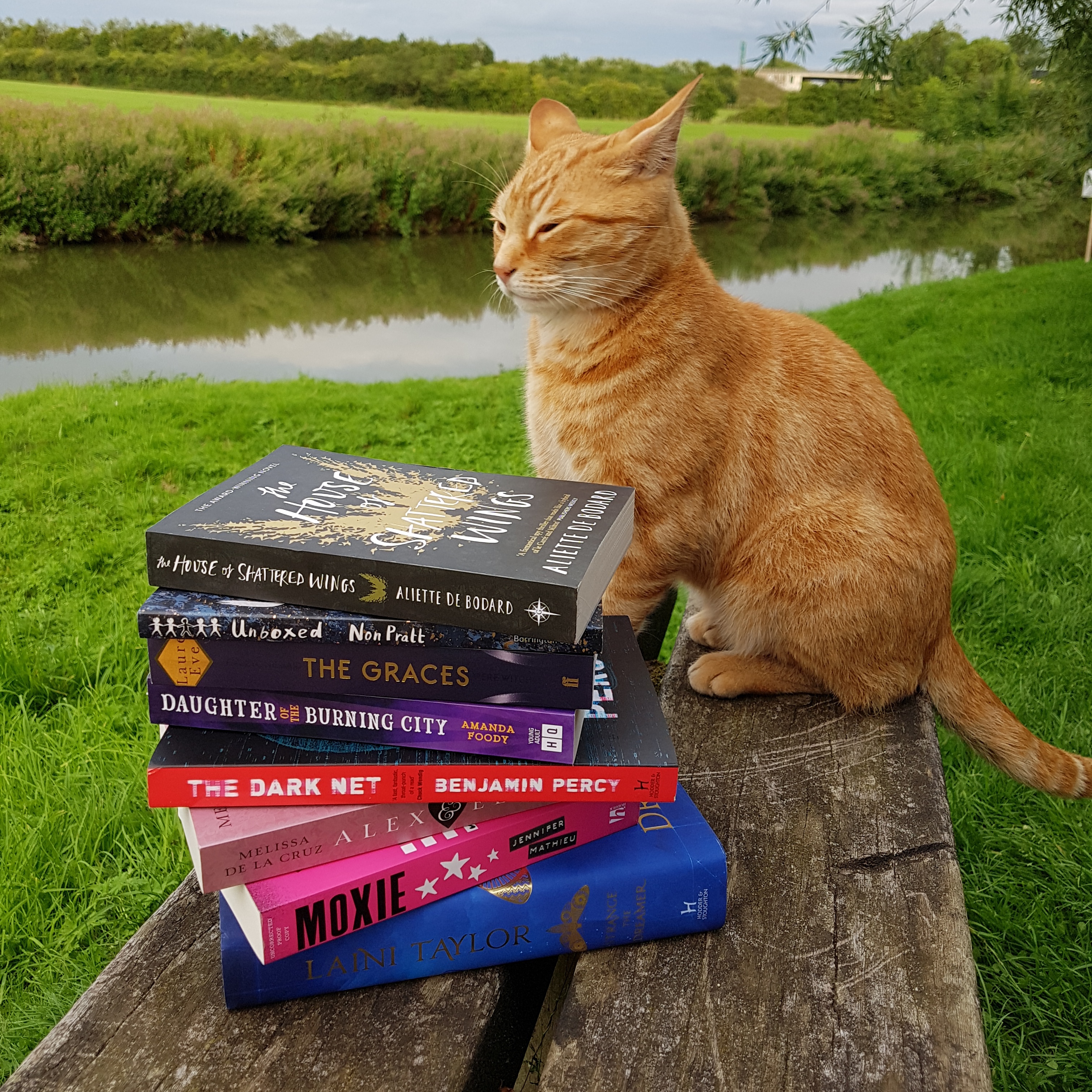 IMG_20170808_125712_578