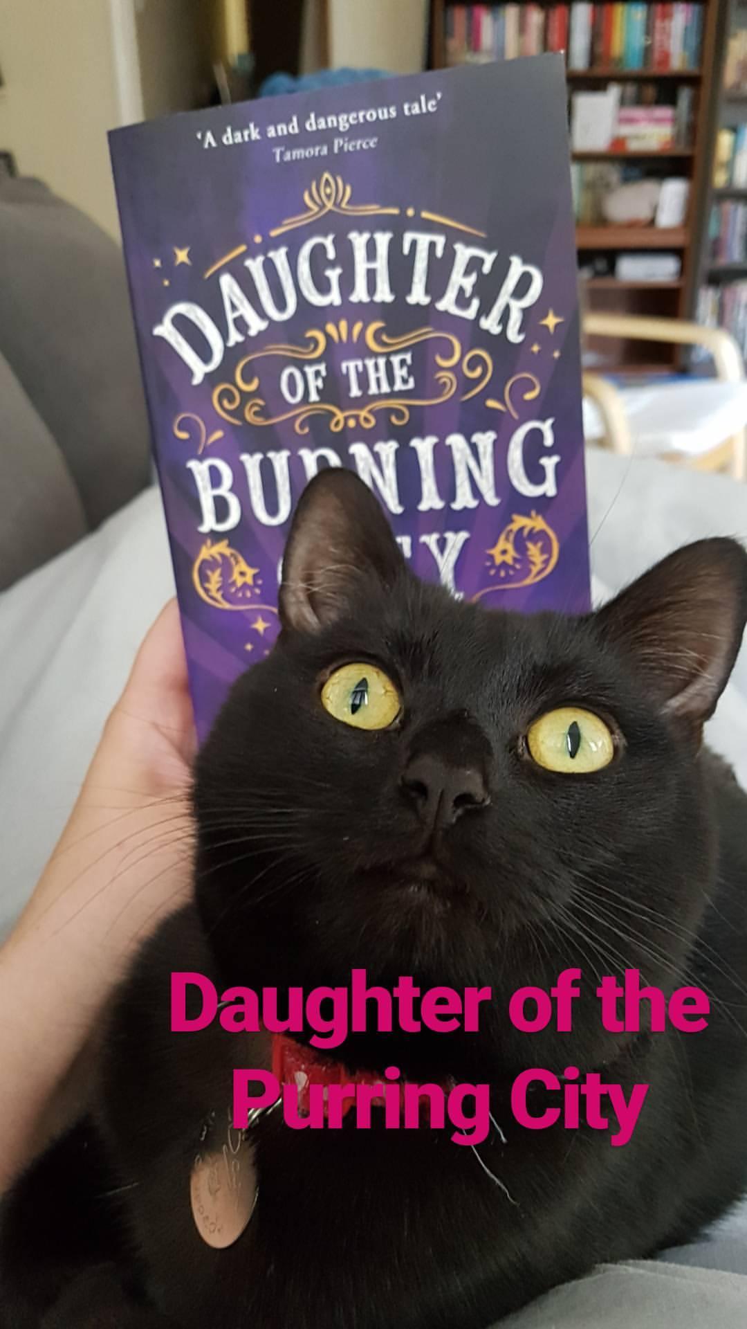 IMG_20170810_162335_733