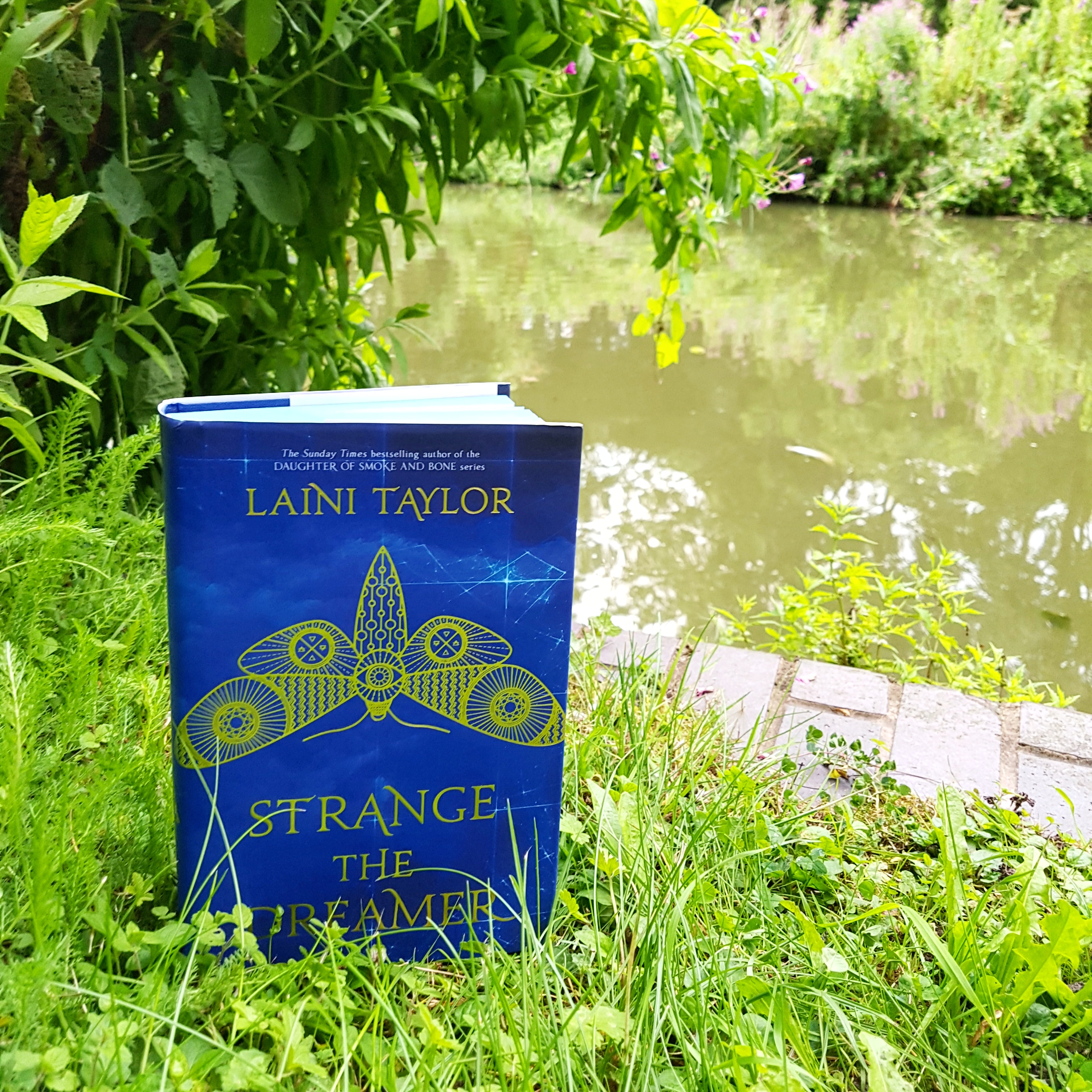 IMG_20170813_113417_442