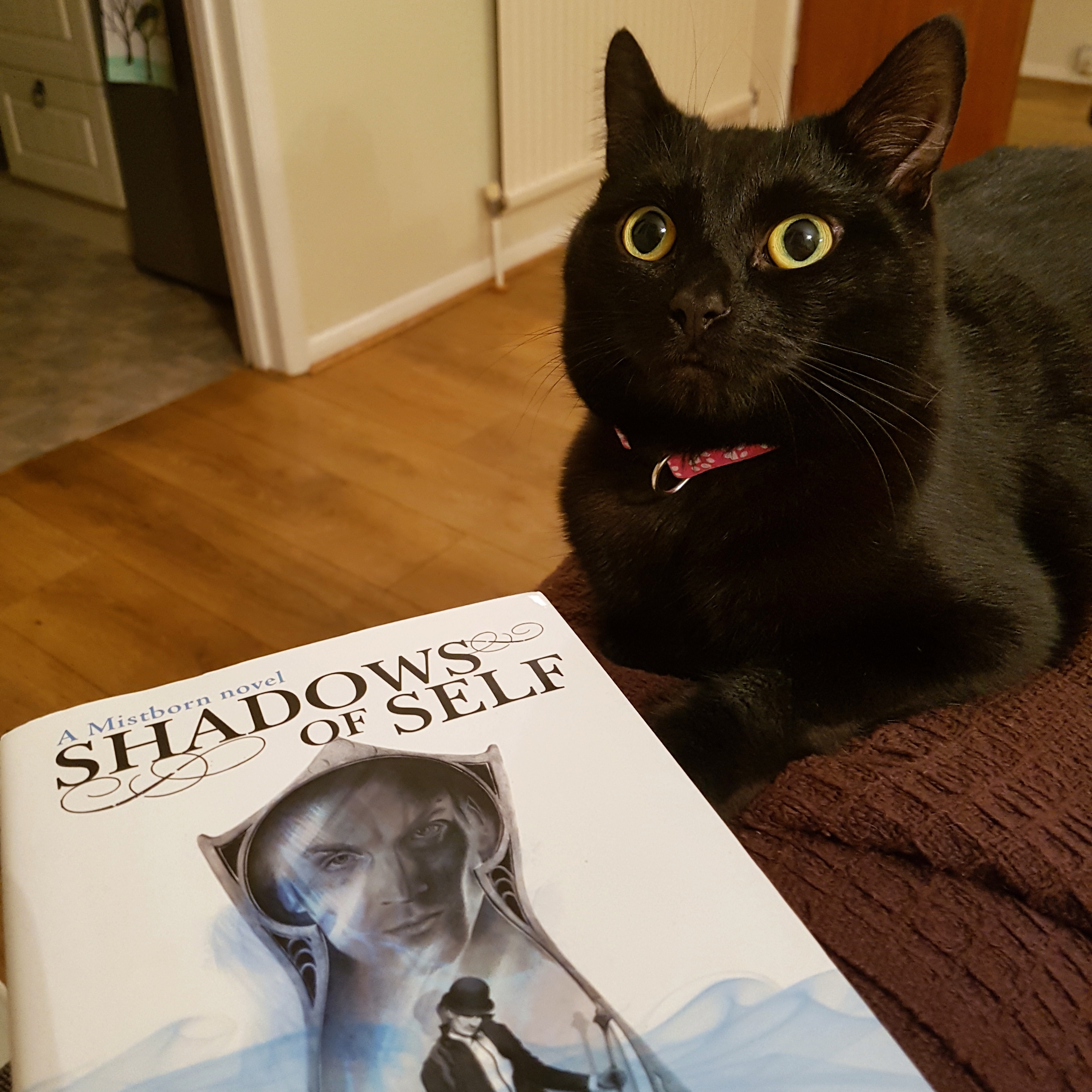 IMG_20170906_221607_897