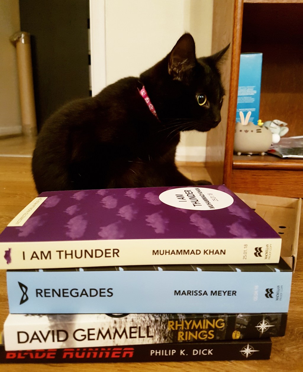 Weekly (Plus Hiatus) Wrap-Up: 26 October&nbsp;2017