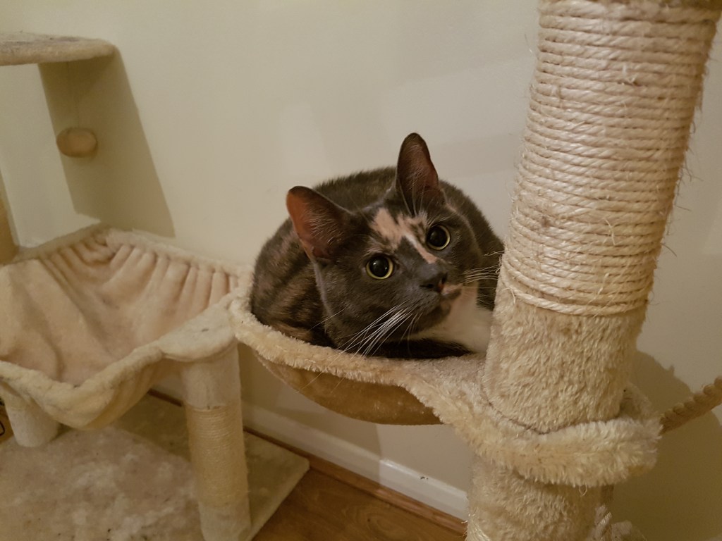 Weekly Wrap-Up: 19 January&nbsp;2017