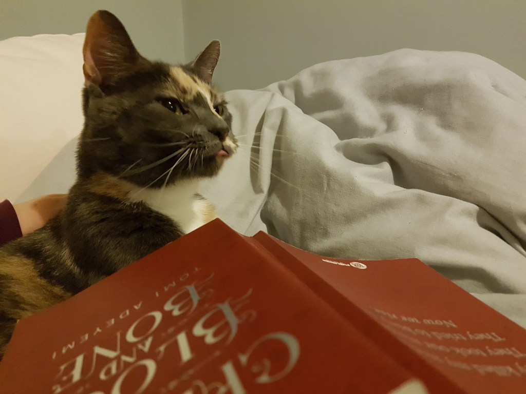 Mini Hiatus: The Case of the Missing Internet Connection