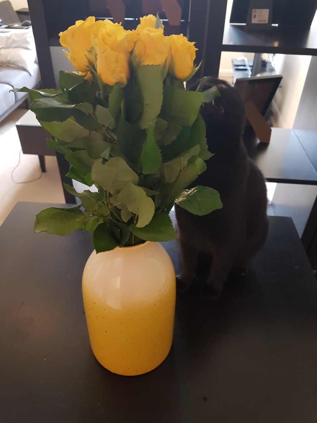 Weekly Wrap-Up: 20 April&nbsp;2018