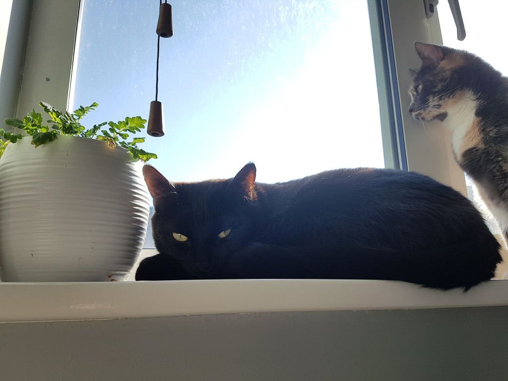 Weekly Wrap-Up: 06 April&nbsp;2018