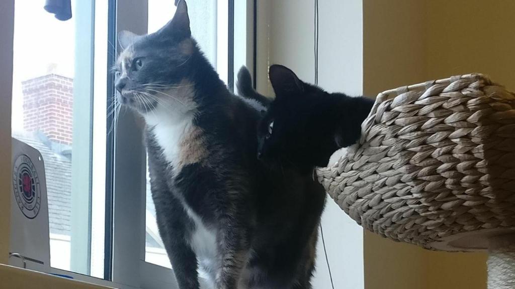 Weekly Wrap-Up: 27 April&nbsp;2018