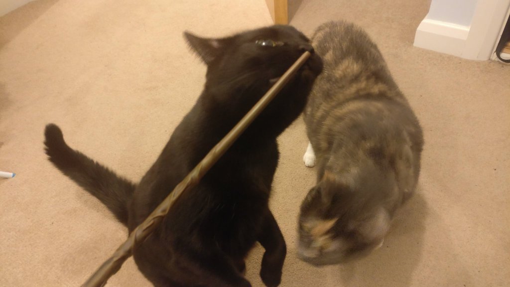 Weekly Wrap-Up: 13 April&nbsp;2018