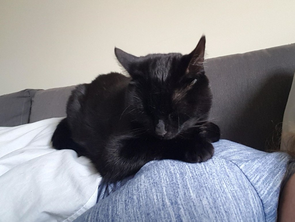 Weekly Reading Wrap-Up: 25 May&nbsp;2018