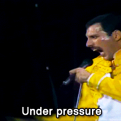 NextTemptingAuk-max-1mb