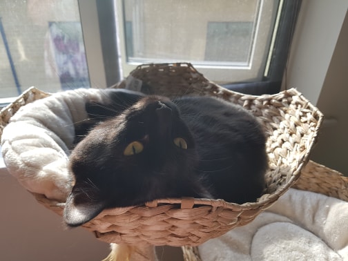 35404607_10102938702164290_8448313736246067200_n