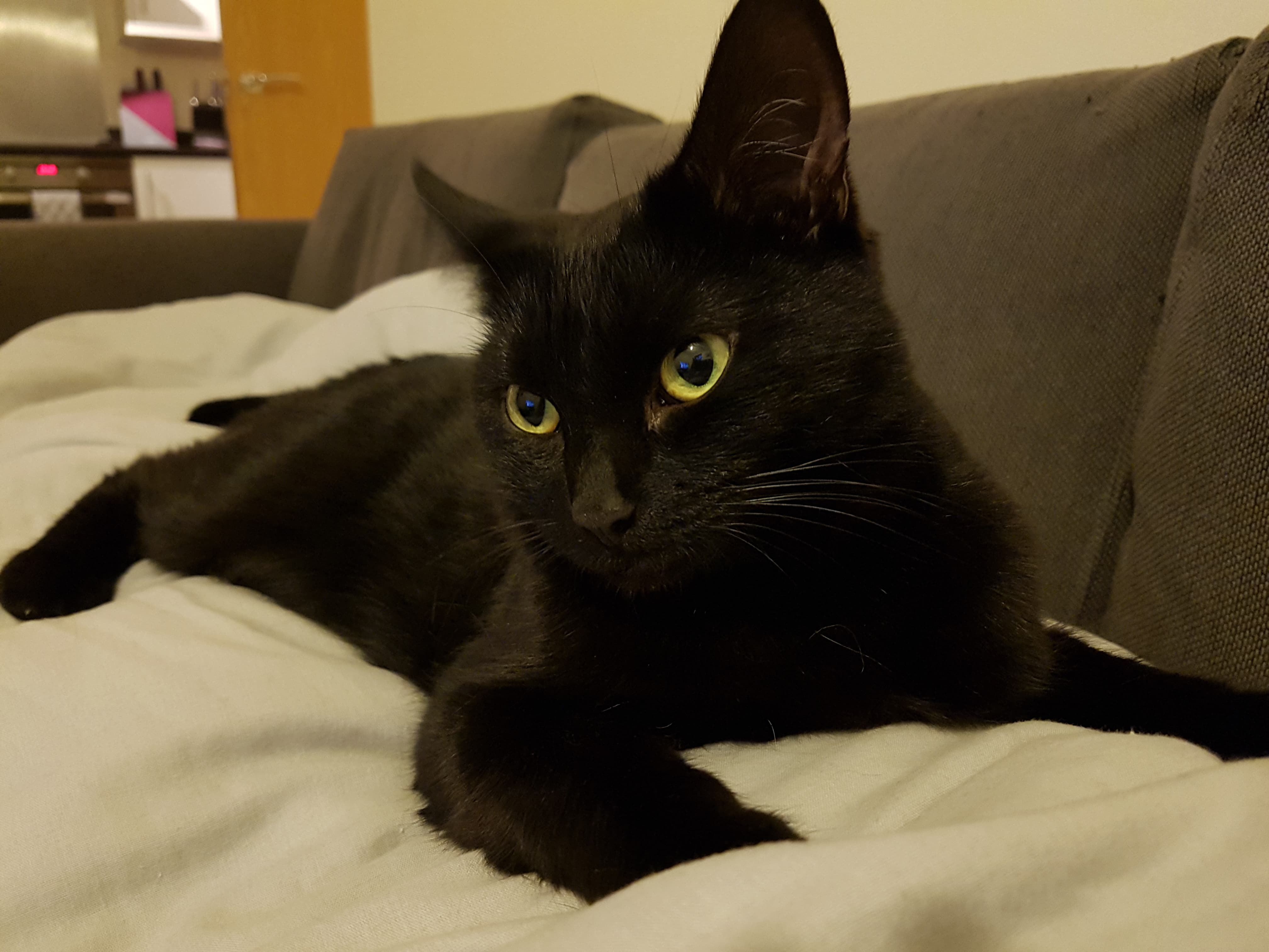 38864828_288565381722484_1678394518296068096_n