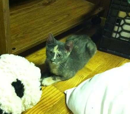 50094251_222703325343851_7480665601686372352_n