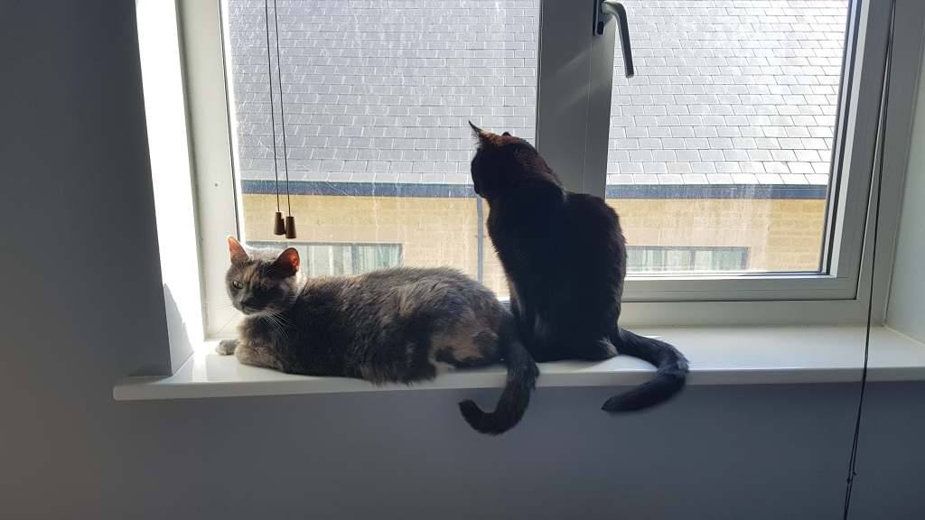 Reading Wrap-Up: March&nbsp;2019