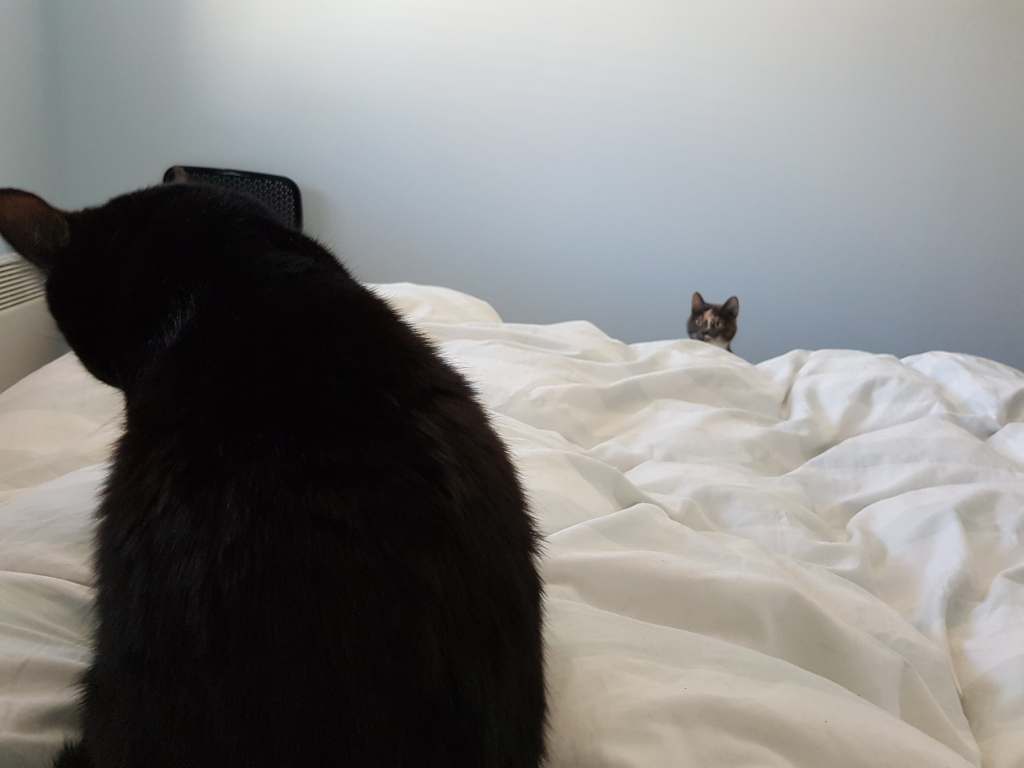 Weekly Wrap-Up: 12 April 2019