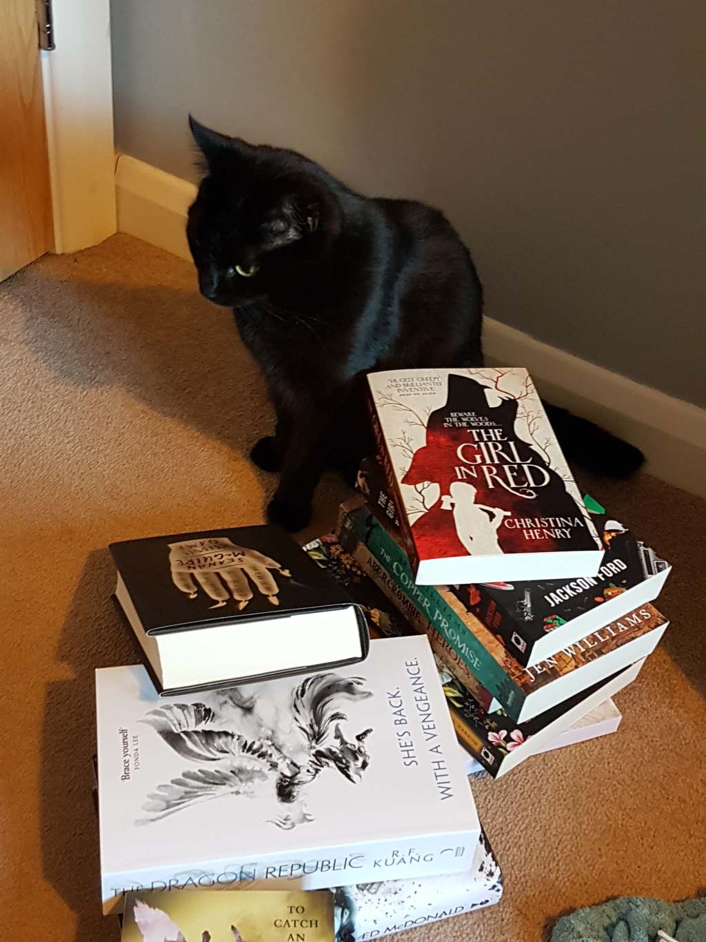 Monthly Reading Wrap-Up: June&nbsp;2019