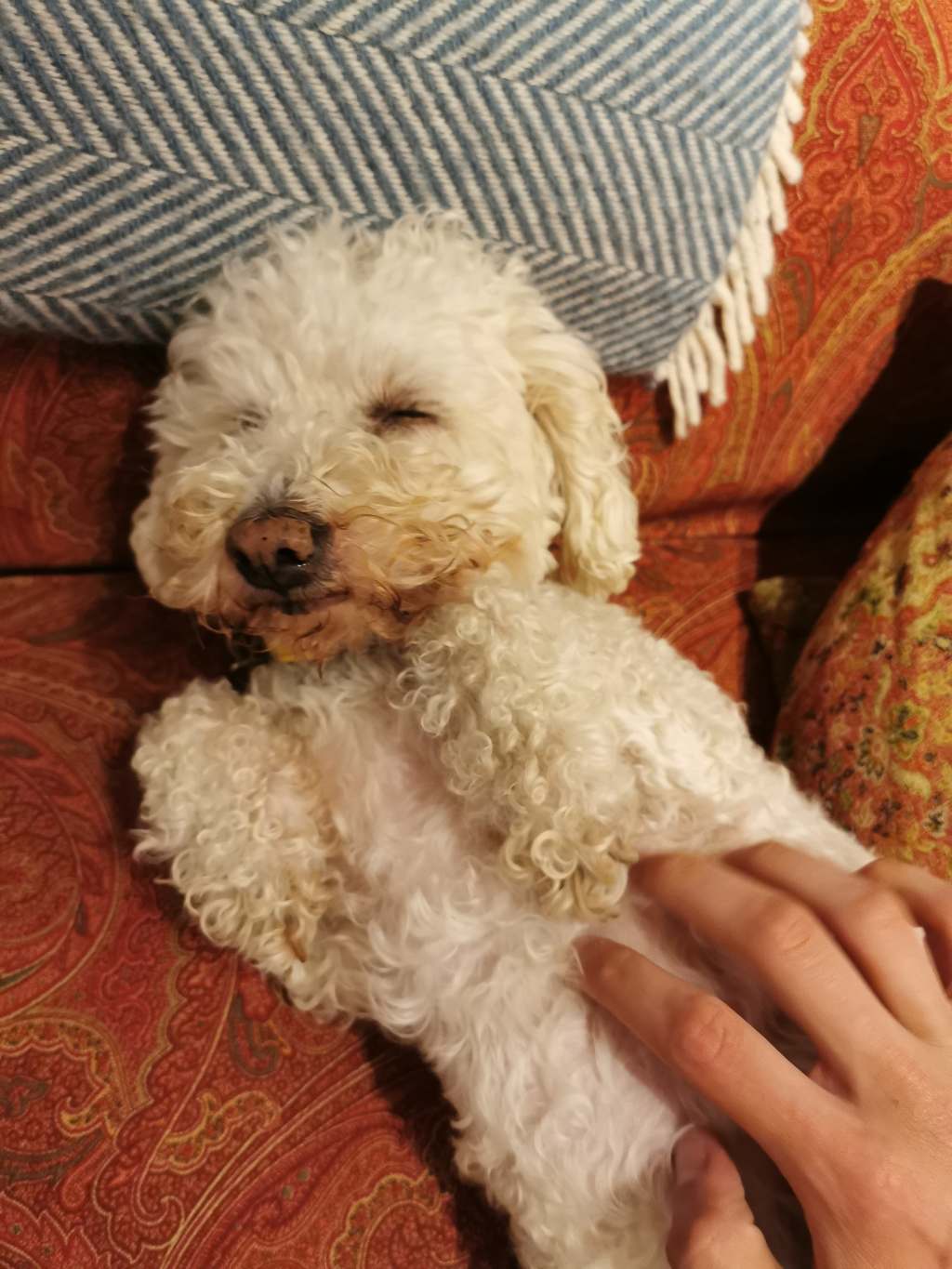 Weekly Wrap-Up: 12 July&nbsp;2019