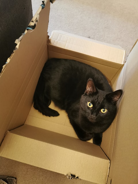 Weekly Wrap-Up: 09 August 2019