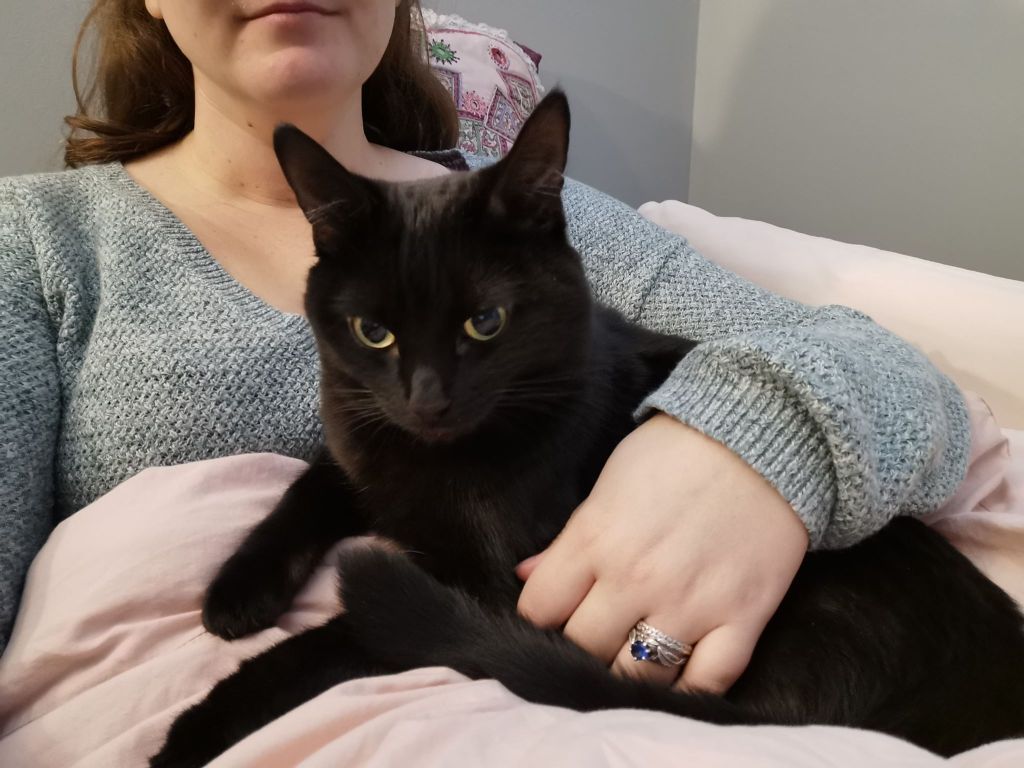 Weekly Wrap-Up: 15 November&nbsp;2019