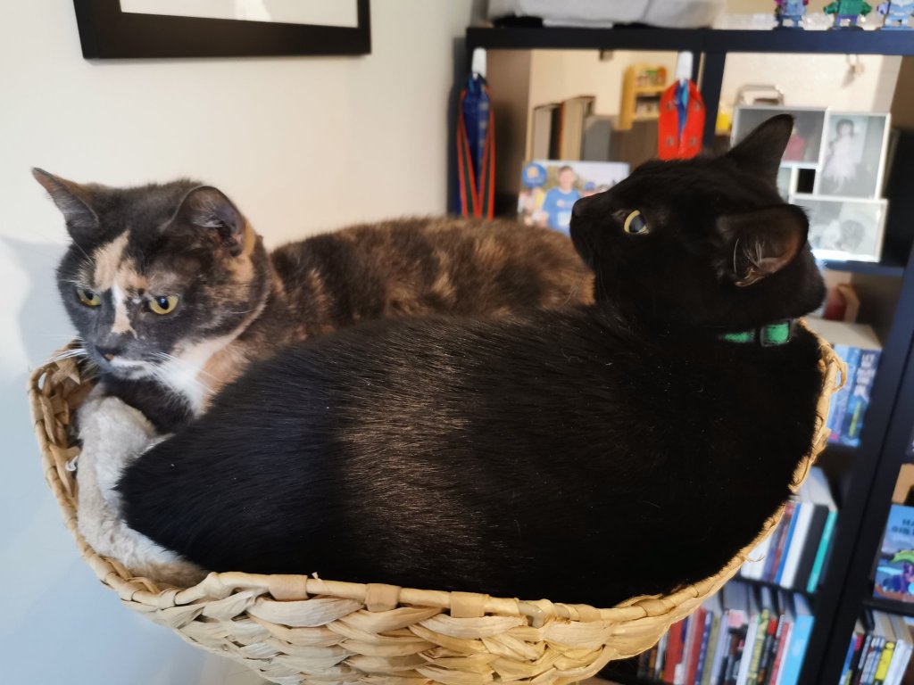 Weekly Wrap-Up: 31 January&nbsp;2020