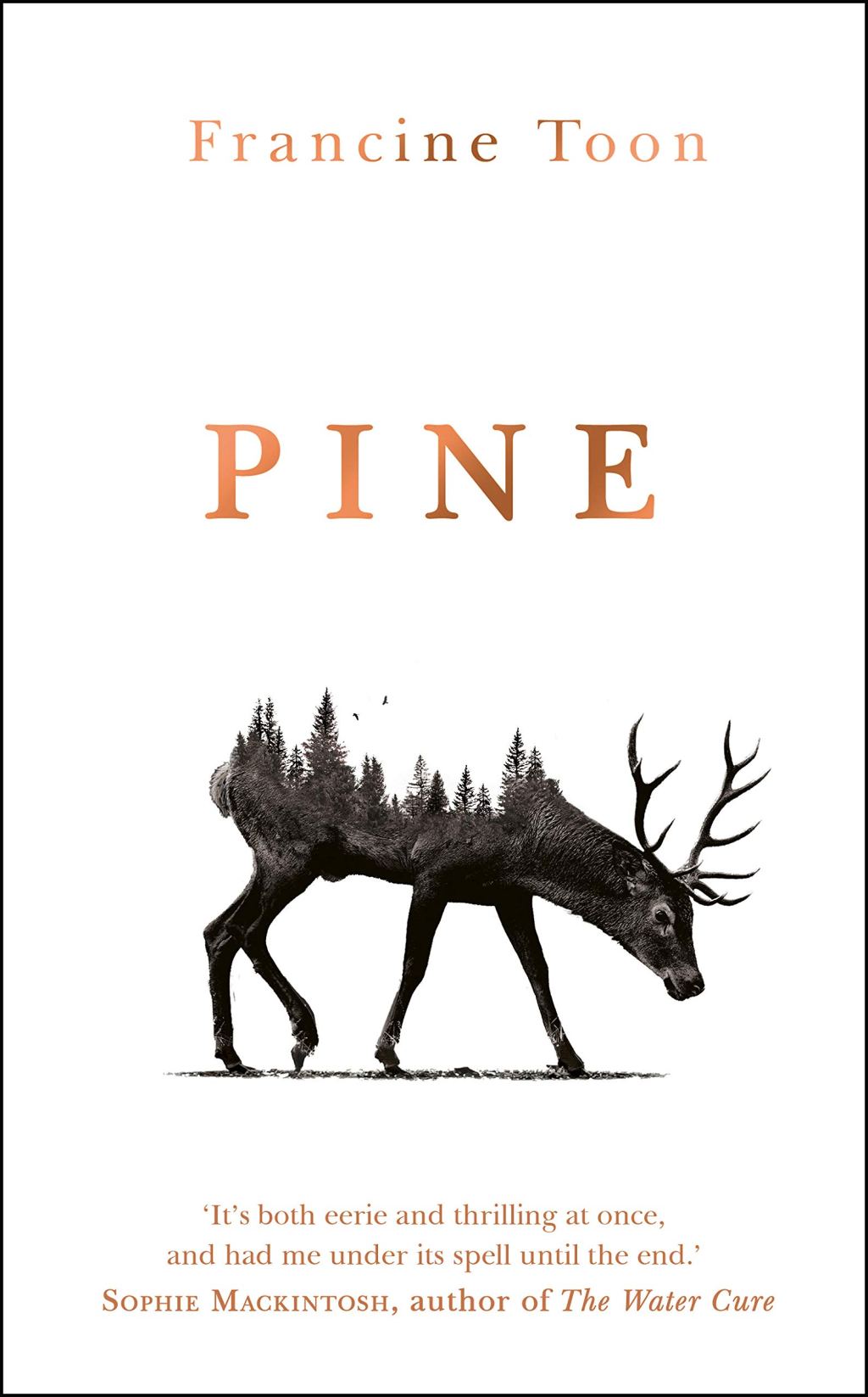 Book Review: Pine by Francine Toon