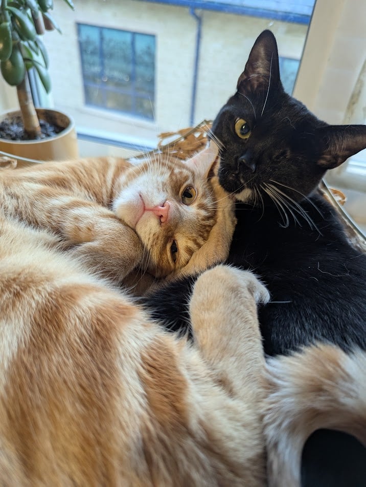 Hi there! It has been&nbsp;awhile